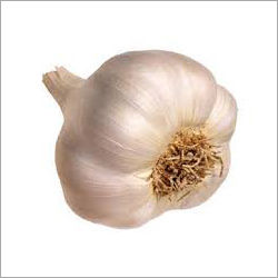 Indian Garlic