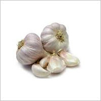 Organic Garlic