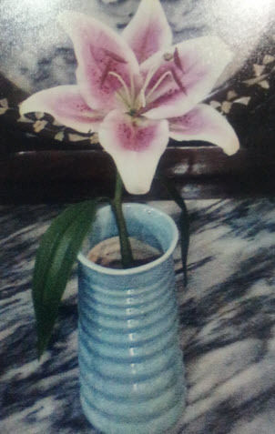 Black Lily Flower Pot