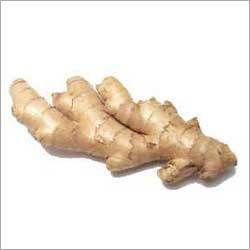 Fresh Ginger