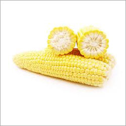 Baby Corn