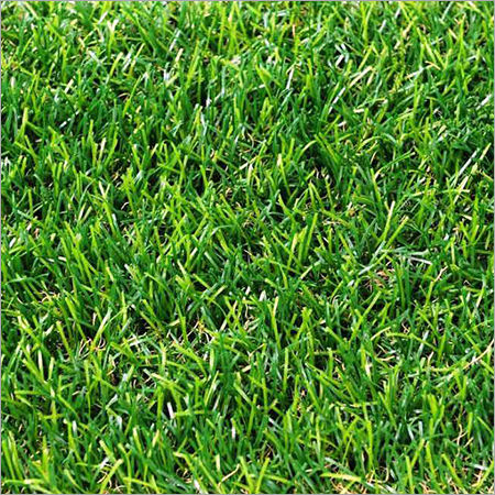 Artificial Grass