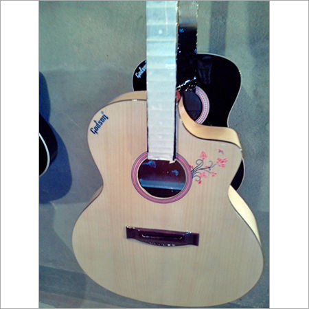 Designer Acoustic Guitar