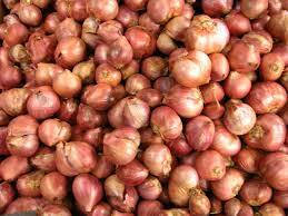 Red Shallots