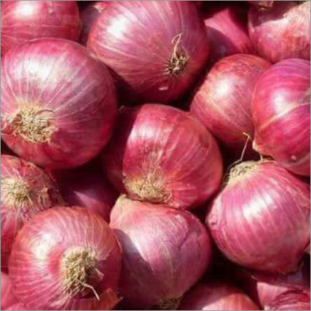 Indian Fresh Onions