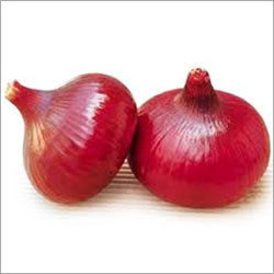 Red Big Onions