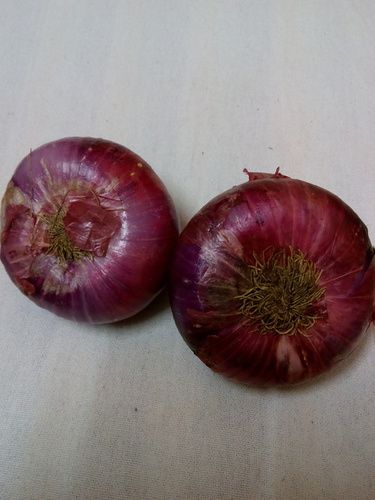 Red Onion