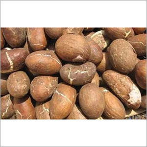 Dried Kola Nuts