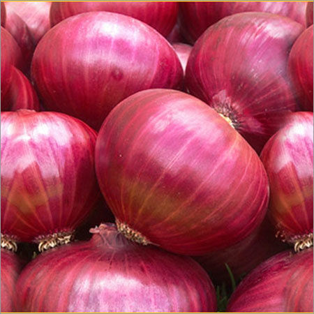 Fresh Onion