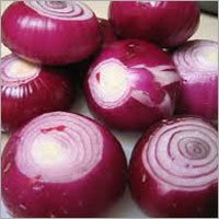 Red Fresh Onions