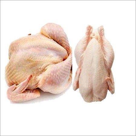 Chilled Chicken Application: Medicine