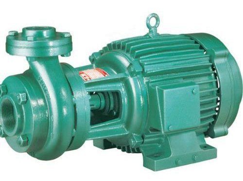 Domestic Monoblock Pump