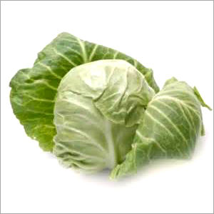 Cabbage