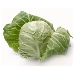 Fresh Cabbage