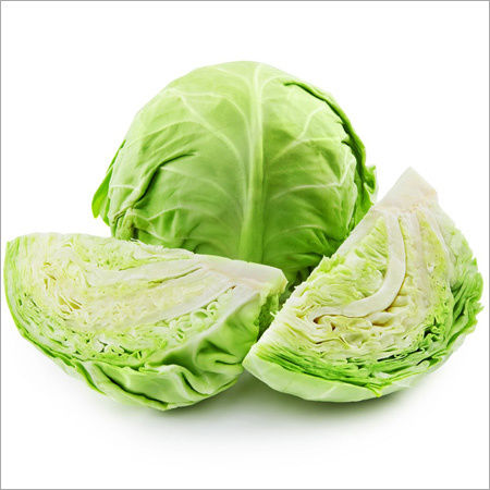 Fresh Green Cabbage