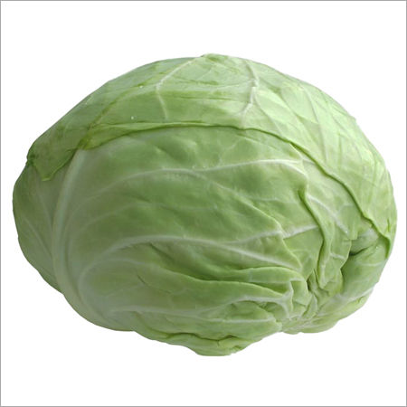 Green Cabbage