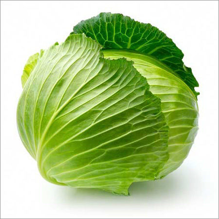 Green Cabbage