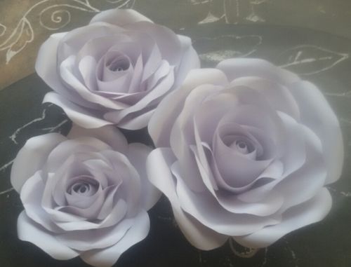 Ivory paper Rose flowers