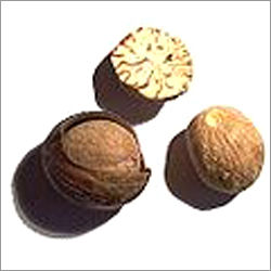 Nutmeg Spice