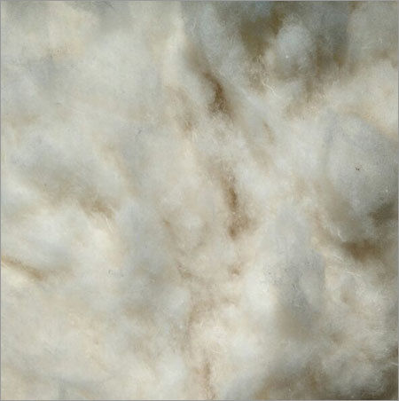 Raw Cotton Comber Noil