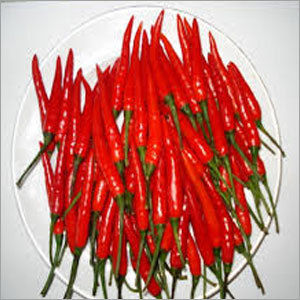 Chili Pepper Supplier  Nigerian Pepper Market Place