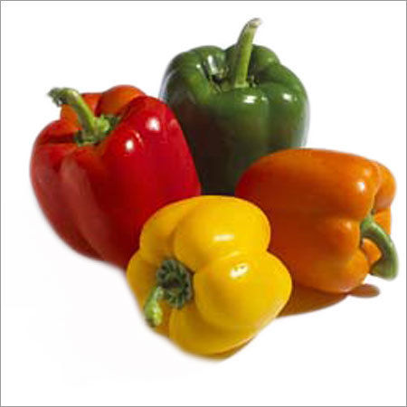 Fresh Capsicum