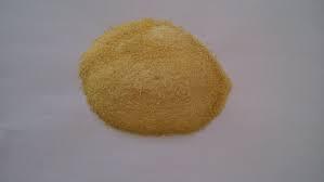 Gelatin Powder