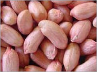 Peanut Kernel - Indian Origin, Moisture Max 7% | High Nutritional Value, Pure & Flavorful, Packaged in 25kg/50kg Options