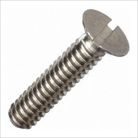 Ss Slotted Csk Screw