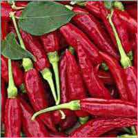 Byadgi Red Chili