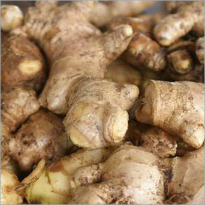 Organic Ginger