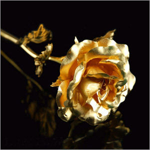 Golden Rose Gift