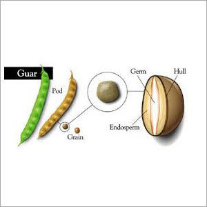 Refined Guar Splits