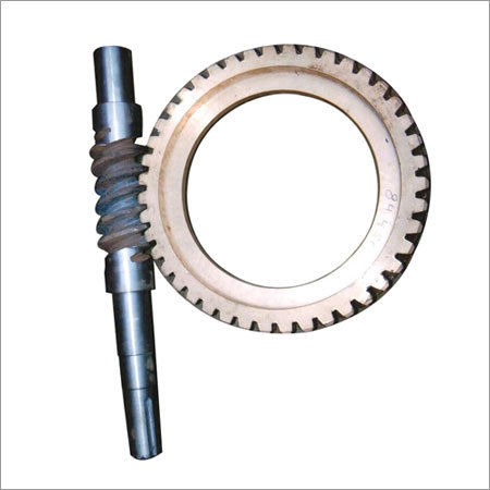 Bronze Metal Worm Gear