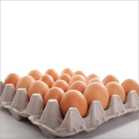 Pulp Egg Tray