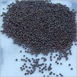 Black Mustard Seeds