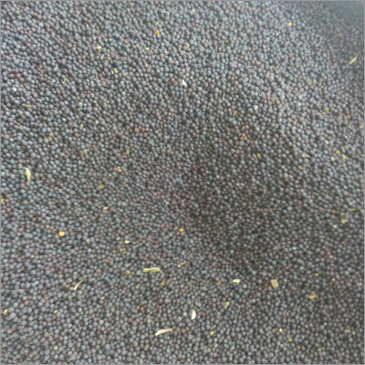 Black Mustard Seeds