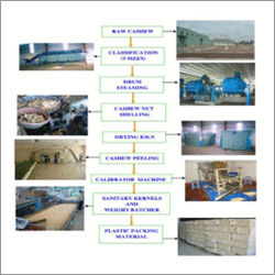 Cashew Nut Processing Plant