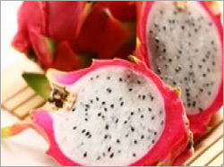 Dragon Fruit