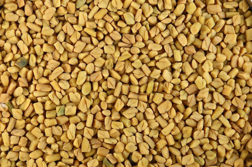 Fenugreek