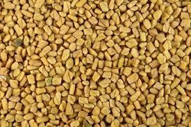 Laxmi Fenugreek