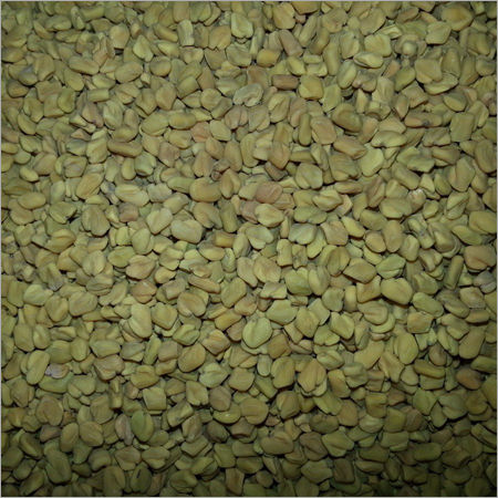 Organic Fenugreek