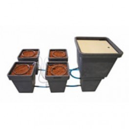 Cotton Ebb Flow Hydroponics System