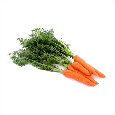 Fresh Carrots