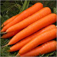 Capsules Orange Carrot