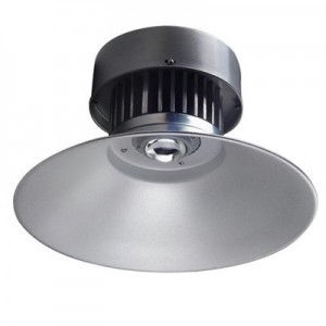 Common 30W Led High Bay Light