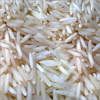 Sugandha Basmati Steamed Rice