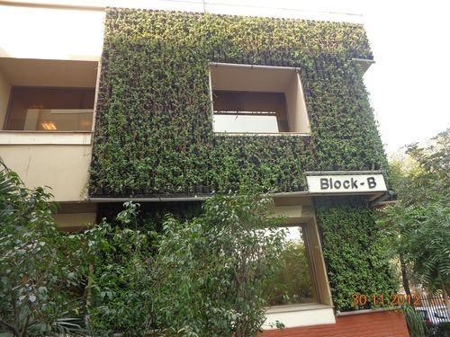 Bio Green Wall