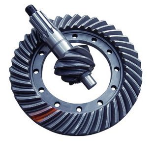 Double Enveloping Worm Gear