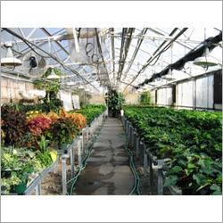 Agricultural Greenhouses